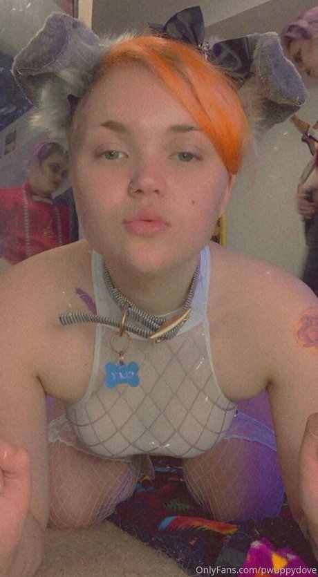 pwuppydove belle étoile des photos