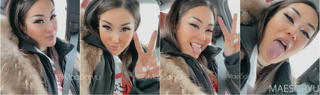 maesoryu modèle img