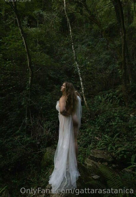 gattarasatanica star du porno image