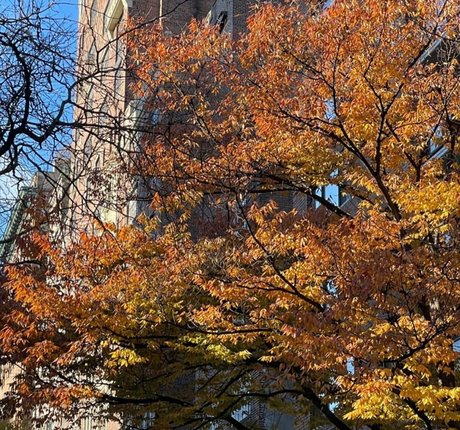 La Tecia Thomas star du sexe photos