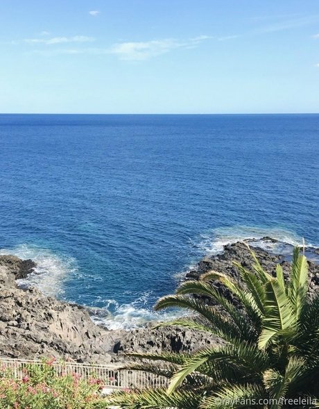 freeleila nus étoiles img