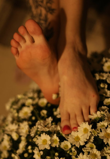 fleivinha étoile de l'art archive