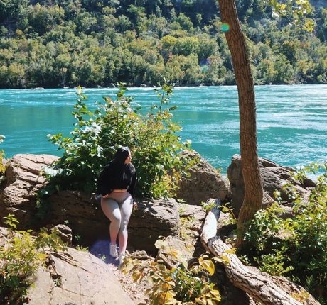 chaton potelé uniquementfans nu libre images