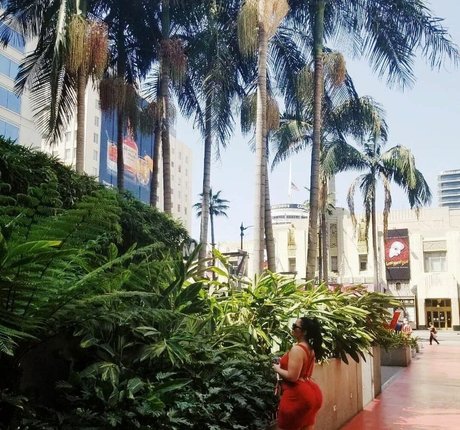 Anjadee étoile exclusive img