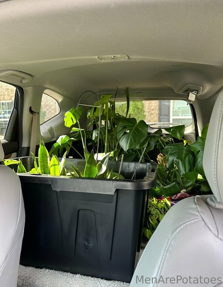 menarepotatoes star du porno parfaite photo