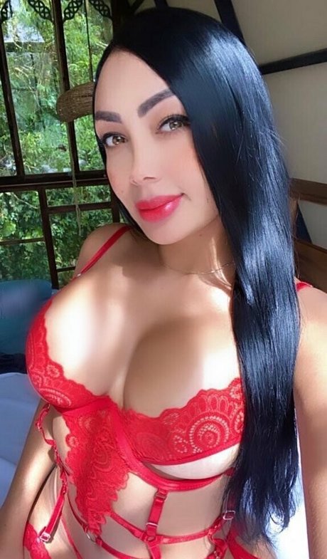 stefyhc belle étoile archive