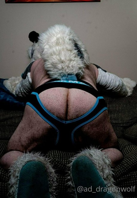 ad dragonwolf meilleure star du porno galeries