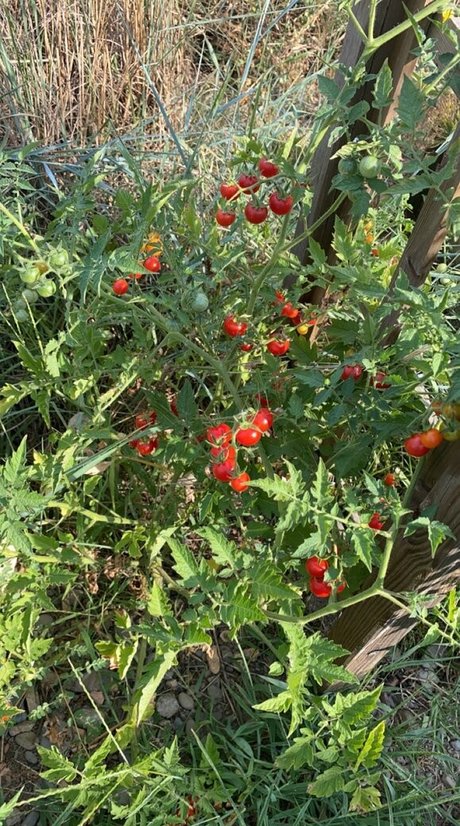 Blondedouce star exclusive archive