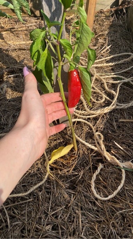 Blondedouce joli modèle des photos