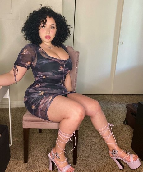 Tana Habibi étoile parfaite galeries