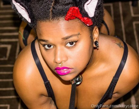 jewel kitten modèle parfait galeries