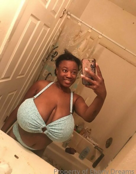 idreamofebony nus de stars du porno collection