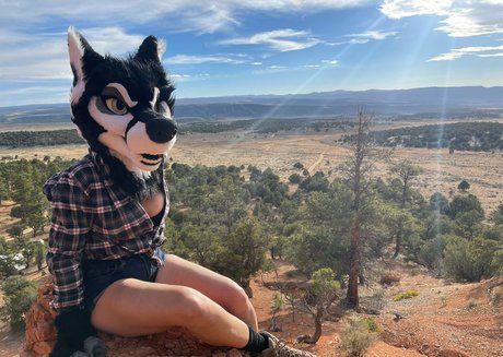 50 ans seulementfans haute qualité des photos