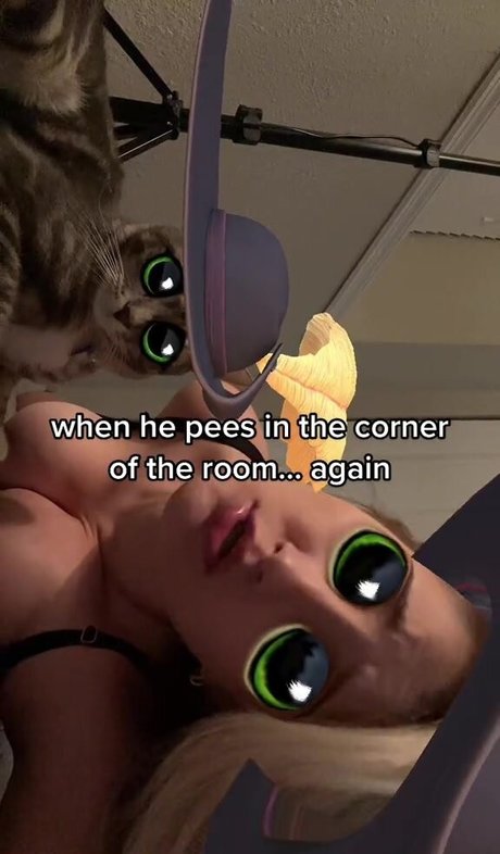 natnevv modèle sympa image