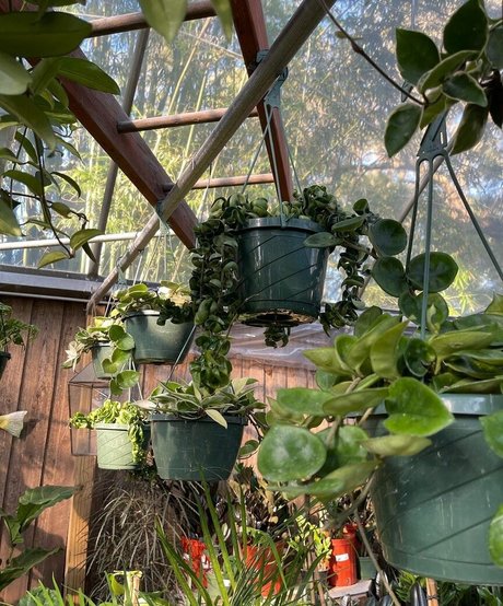 natnevv jolie étoile photos