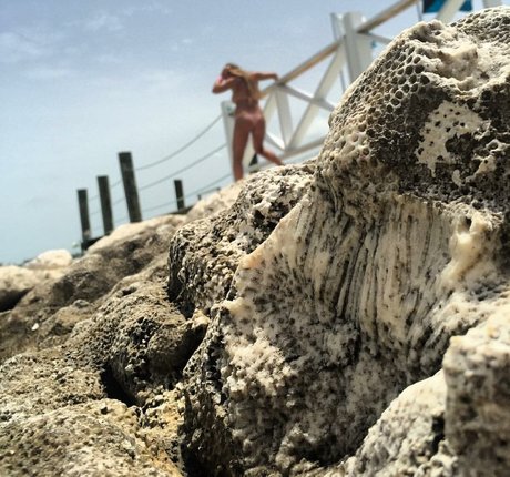 Kimi McFarland art modèle img