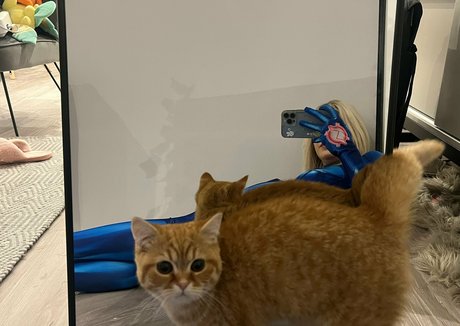 nemano étoile sexy img