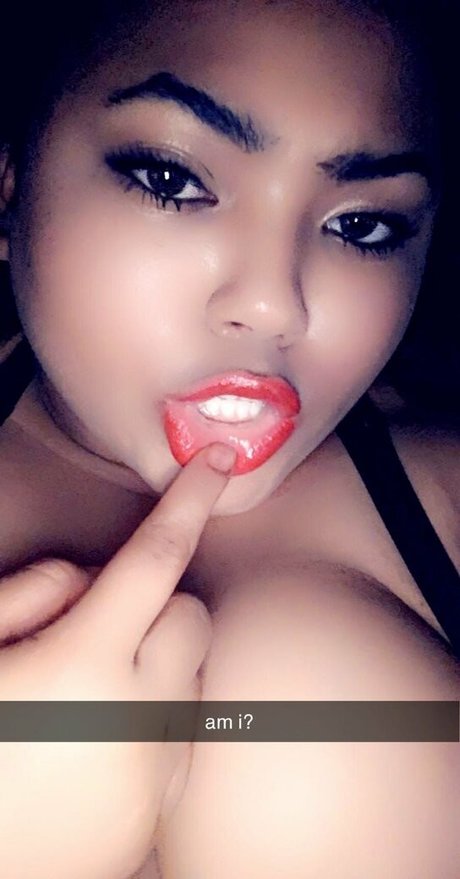 thisahappyhouse actrice parfaite collection