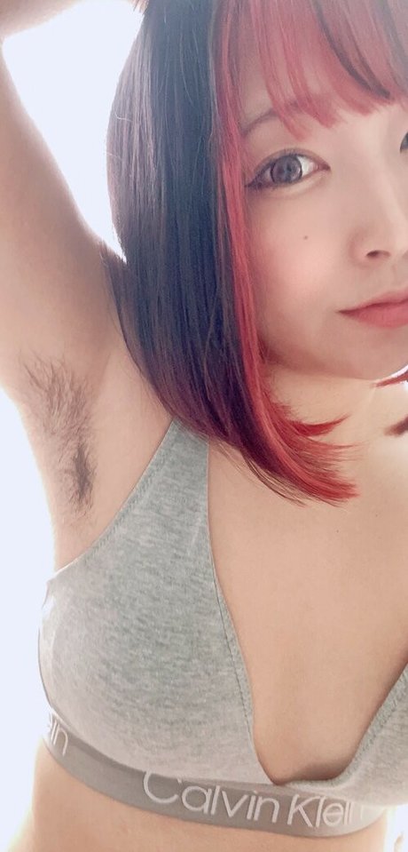 negion ch modèle parfait archive