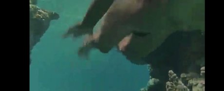 fans de poitrine plate uniquement jolie adulte photo