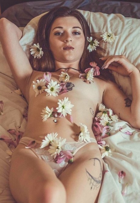 xcx777 star pornographique collection