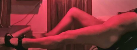 davens star du porno sexy collection