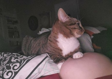 harlowbbw belle actrice galerie