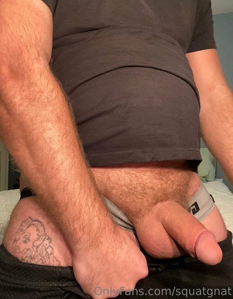 squatgnat star du sexe galeries