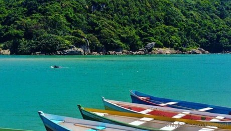 biabrasil étoile exclusive photo