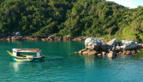 biabrasil mannequin img