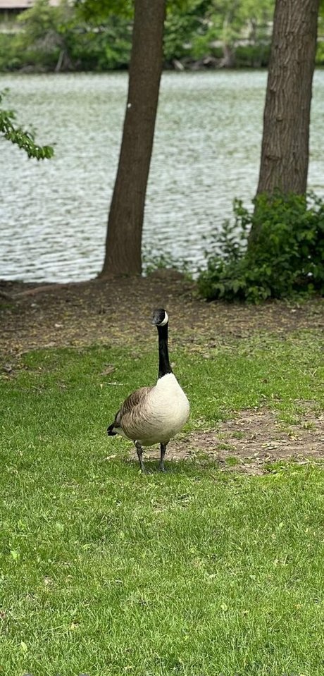 akiraalita actrice sexy galerie