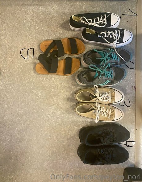 Peyton Nori star érotique collection