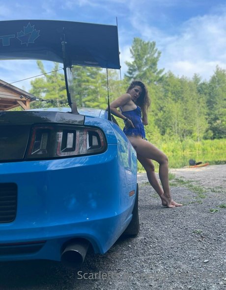 violet scarlet modèle de haute qualité des photos