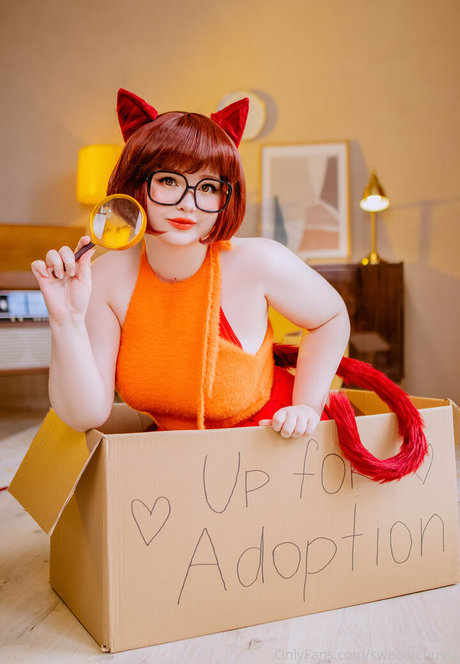 venusblessed jolie star du porno collection