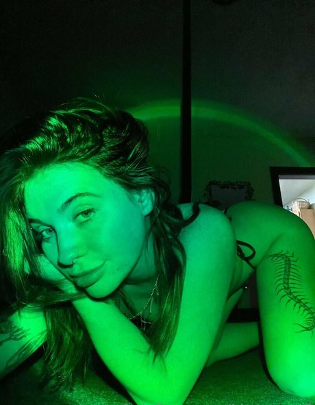 Kittycourty étoile parfaite galerie