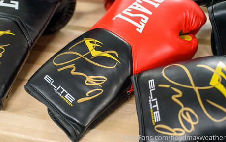 floydmayweather actrice img