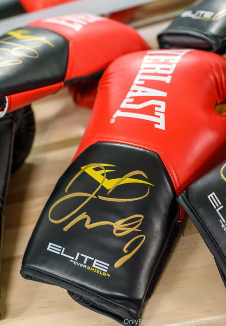 floydmayweather top star galeries