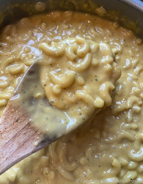 seitansm1stress belle étoile photo