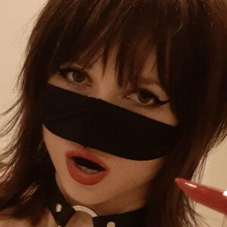 free chat haut modèle collection