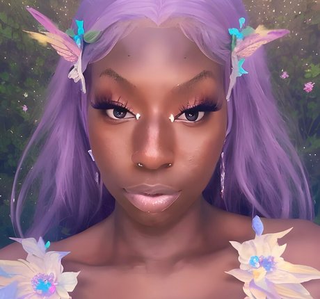 amazonbaycardi étoile magnifique photo