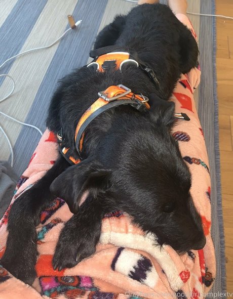 goodgirlcomplextv Profilfoto