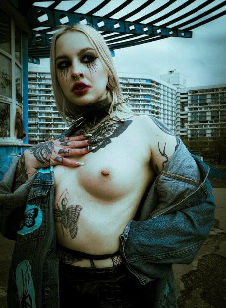 dariamilk star du porno gratuit img