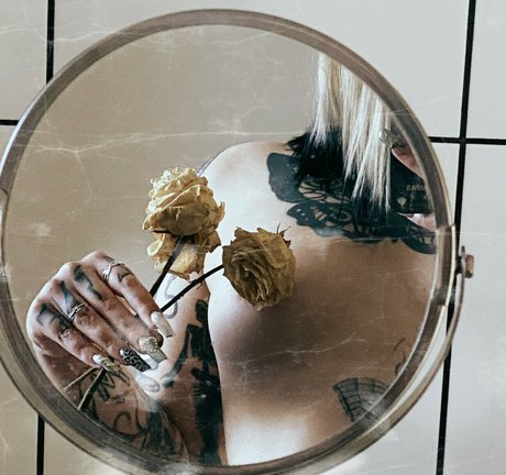 dariamilk haut modèle collection