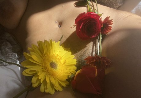 Droolydog modèle xxx image