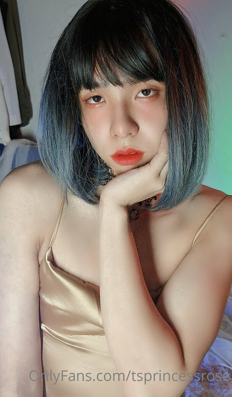 TSprincessRose modèle collection