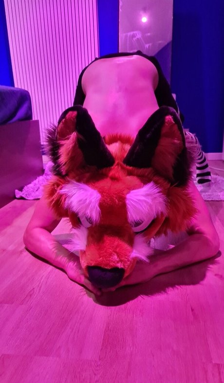 matthewfoxbe jolie étoile photos