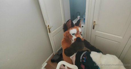 matthewfoxbe top star galerie