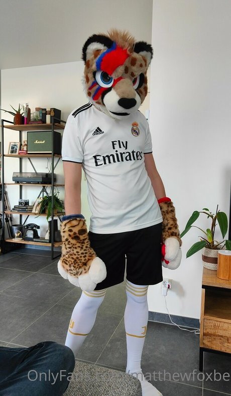 matthewfoxbe Fotoaufnahmen