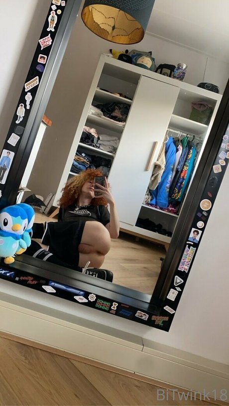 bitwink18 modèle gratuit photo