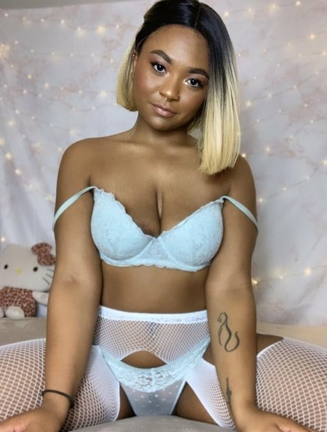 averyjane art de star du porno collection